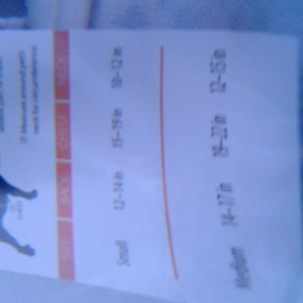 Pet Halloween costume pet toy - Picture 10 of 11